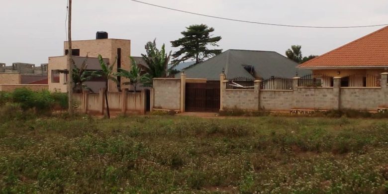 100x100ft plots of land for sale in Kira Kitukutwe at 120m