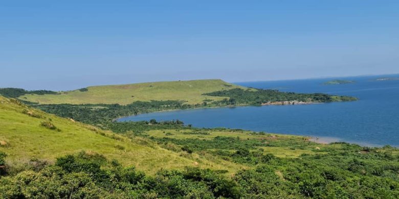 260 acres of land for sale in Senyi Island Mukono at 10m per acre