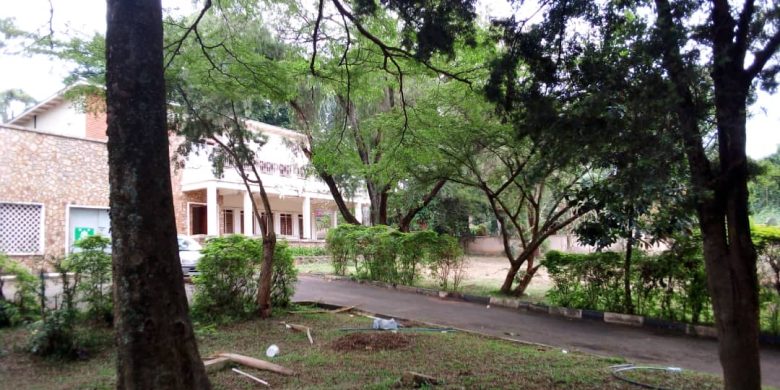 40 decimals property for sale in Kololo $1.2m