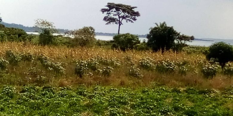100 acres of lake view land for sale in Buwera Nkokonjeru at 20m per acre