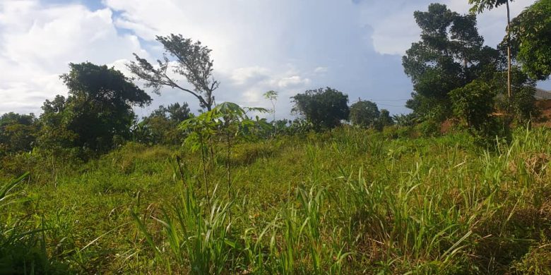 3 acres of land for sale on Seguku hill at 450m each