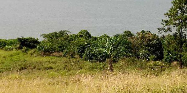 40 acres for sale in Nkokonjeru touching the lake at 25m per acre