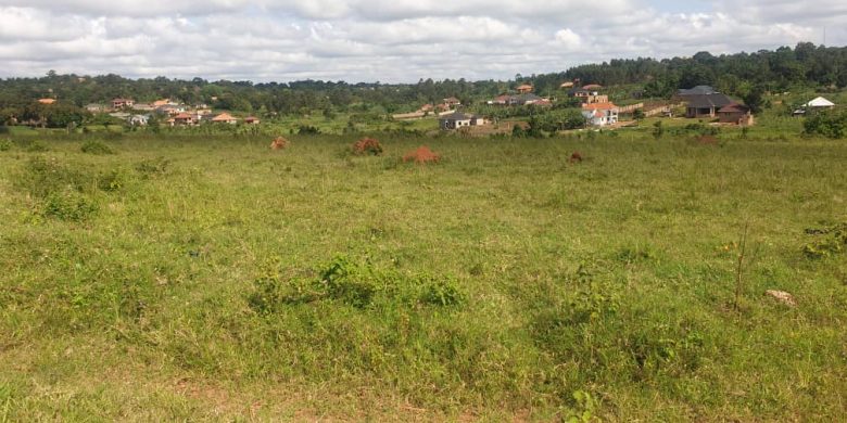 5 acres for sale in Nakwero Gayaza at 250m per acre