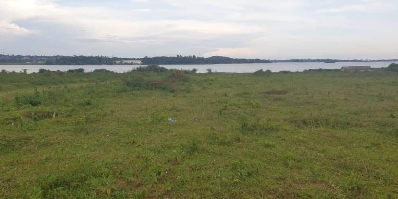 4 acres of Lake View land for sale in Nkumba at 600m Uganda shillings