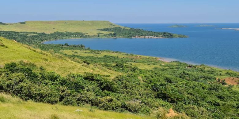 260 acres for sale on Senyi Island at 10m per acre
