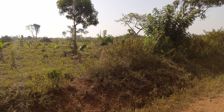 3 square miles of farmland for sale in Kabunyata Luwero at 3.5m per acre