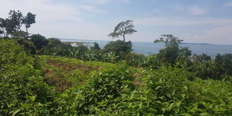 1 square miles of land for sale in Kalangala Ssese island at 10m per acre