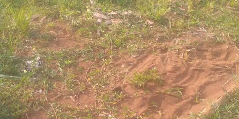 45 acres of land for sale in Mukono near Akon City at 45m per acre