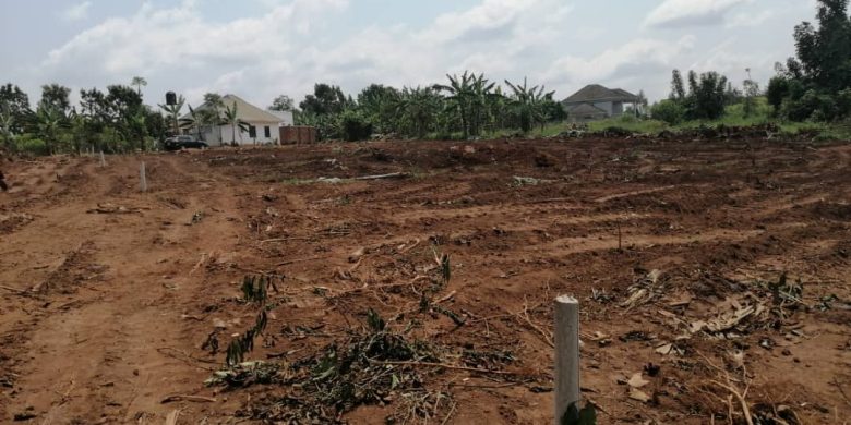 8 plots of 50x100ft for sale in Busukuma Gayaza at 30m each