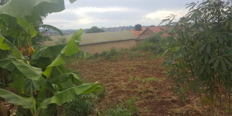 50x100ft plot for sale in Mutundwe at 95m shillings
