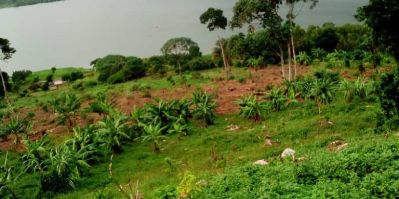 160 acre farm for sale in Koome Island at 1.6 billion Uganda shillings