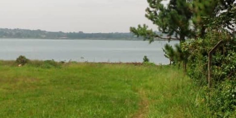 40 acres for sale on Lake Victoria Bukasa Kawuku at 350m per acre
