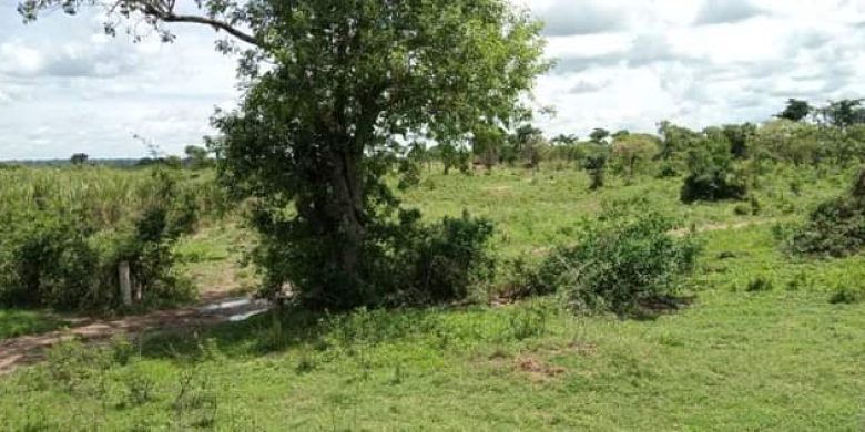 70 acres of land for sale in Kira Namavundu at 200m each