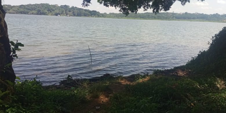 5 acres of lake shore land for sale in Bwerenga at 350m per acre