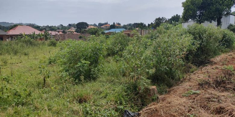 8 acres of land for sale in Masese Jinja at 3 billion shillings