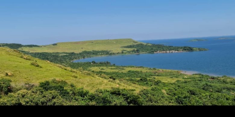 3.5 square miles for sale in Buvuma Island going for 7m per acre