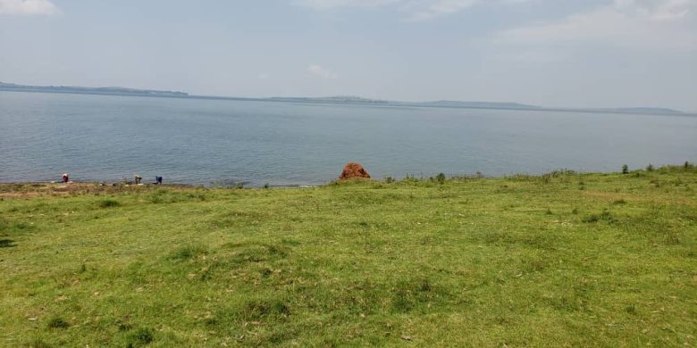 2 acres of lake shore land for sale in Kiyindi Buikwe at 80m per acre