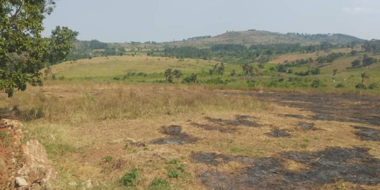 340 acres for sale inLwengo Masaka at 8m Uganda shillings