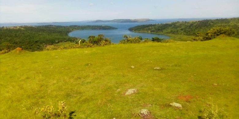 13 acres of land for sale in Busagazi Buikwe at 20m per acre