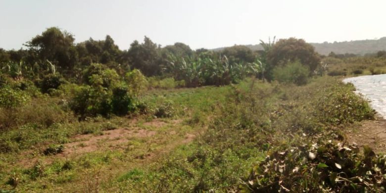 10 acres of lake view land for sale in Nkokonjeru at 30m per acre