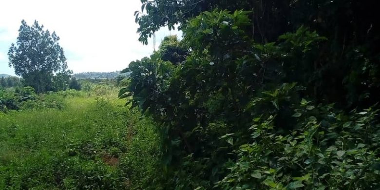 150 acres of farmland for sale in Mazzi at 3.5m per acre