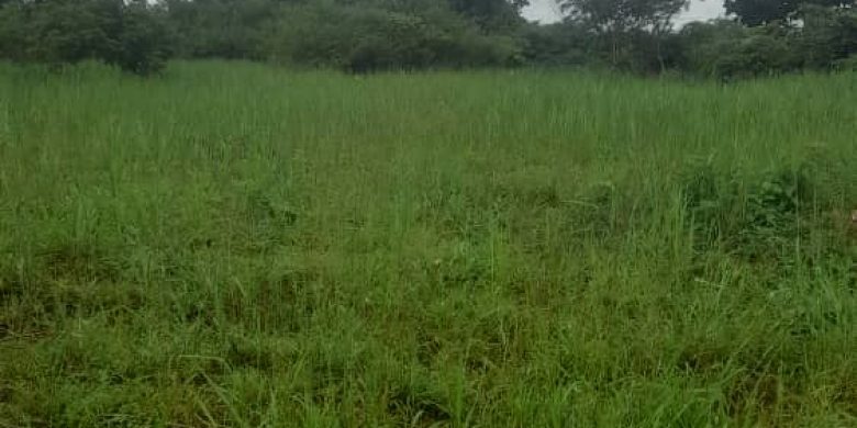 20 acres of land for sale in Luwero at 13m per acre