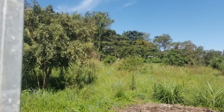 2 acres of lake view land for sale in Munyonyo at 3 billion shillings per acre