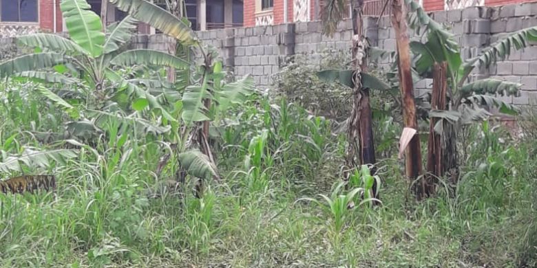 20 decimals of land for sale in Najjera Buwate at 240m