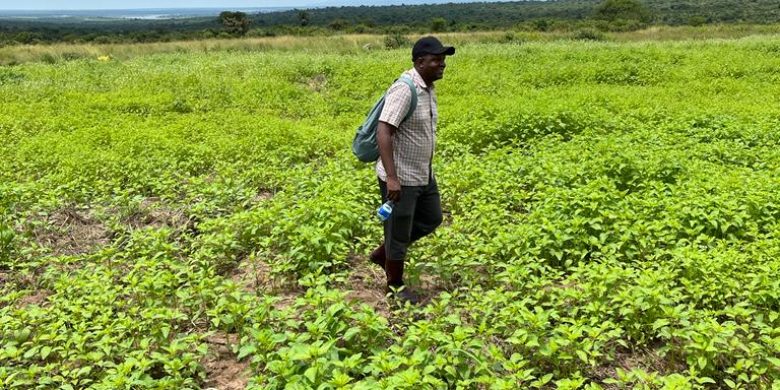 3,000 acres of farmland for sale in Purong Nwoya at 2.5m per acre