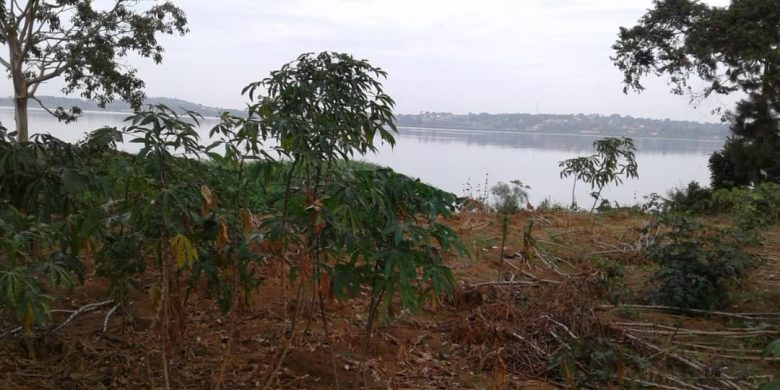 16 acres of beachfront property for sale in Kawuku Bugiri at 290m per acre