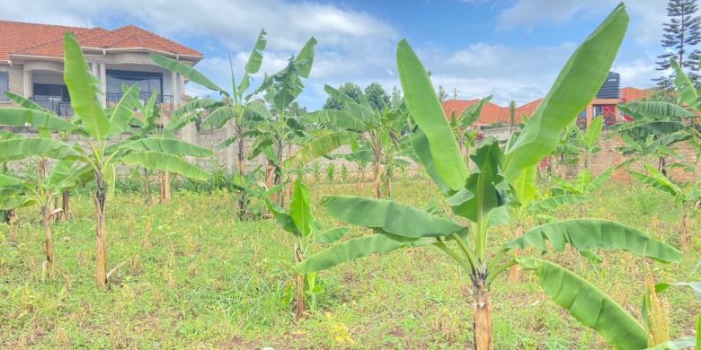 15 decimals plot of land for sale in Kira Makerere college at 150m