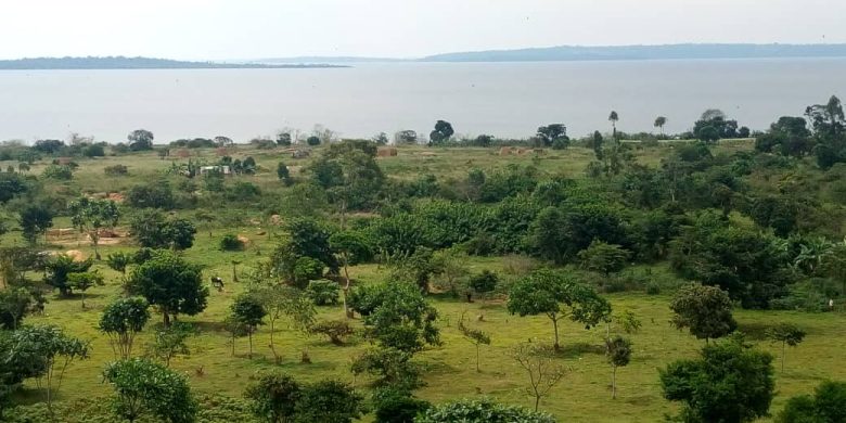 100 acres of lake shore land for sale in Kalangala at 7m per acre