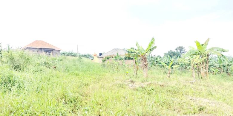 23 decimals plot of land for sale in Kira Kitukutwe at 60m