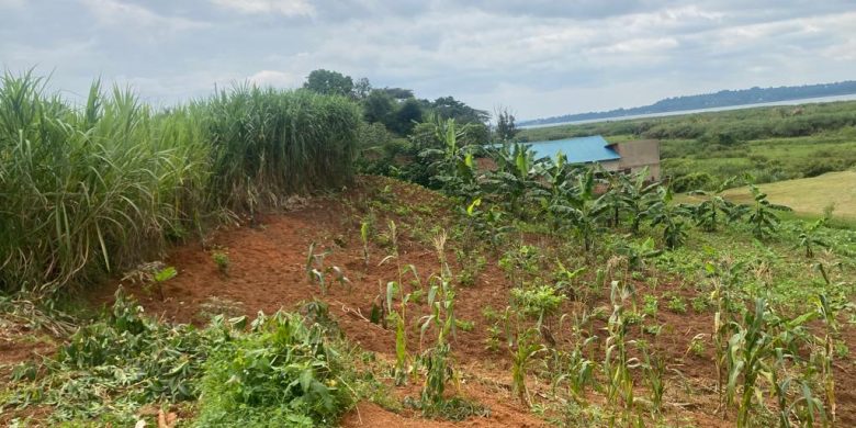 100x100ft plot of lake view land for sale in Katabi Entebbe at 190m