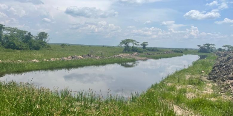 437 acre farmland for sale in Kinoni Nakasongola at 4.5m shillings