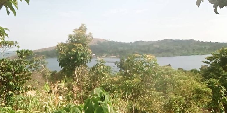 13 acres lake view land for sale in Busagazi Buikwe at 22m per acre