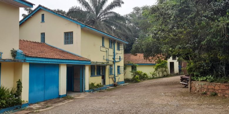 4 bedrooms house for rent in Kololo at 2500 USD