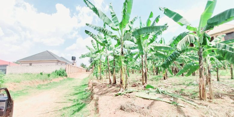 1 acre of land for sale in Kira Mulawa at 1.65 Billion shillings
