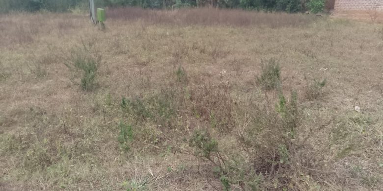 60x85ft land for sale in Budaka Nasenyi at 14m shillings