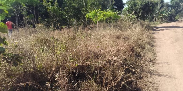 70x100ft plot of land for sale in Namabasa Mbale at 16m