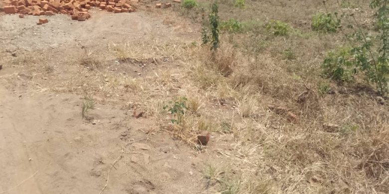 50x100ft plot of land for sale in Kasanja Mbale at 14.5m