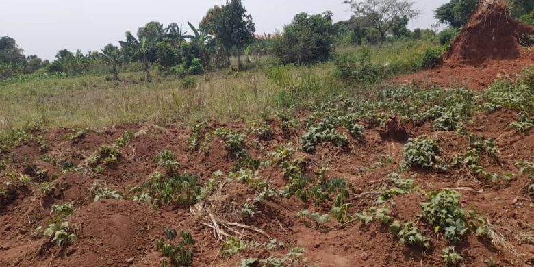 50x100ft plot of land for sale in Kiwenda at 13m per plot