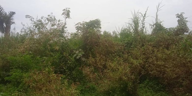 3 acres of land for sale in Kamengo Masaka Road at 10m per acre