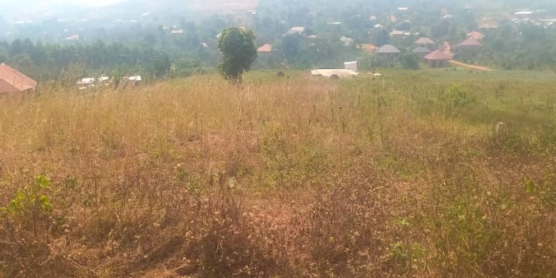 50x100ft plots of land for sale in Wakiso at 23m per plot