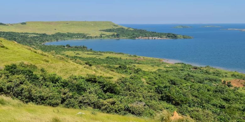 260 acres of Island land for sale in Bwema at 15m per acre