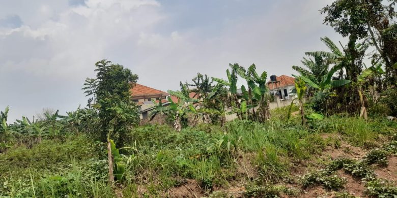 50x100ft plot of land for sale in Kira Kiwologoma 55m