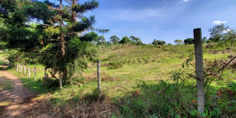 15 acres of land for sale in Matugga Kigogwa at 100m per acre