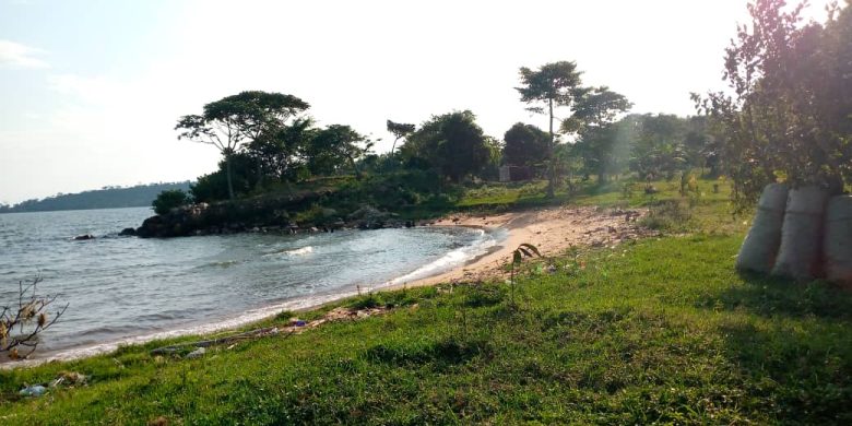 50 acres beachfront property for sale in muyubye at 30m per acre