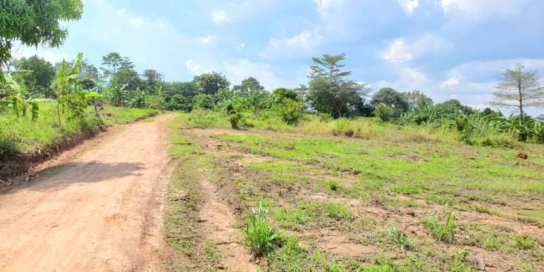 50x100ft plots of land for sale in Kasangati Buwagga at 32m