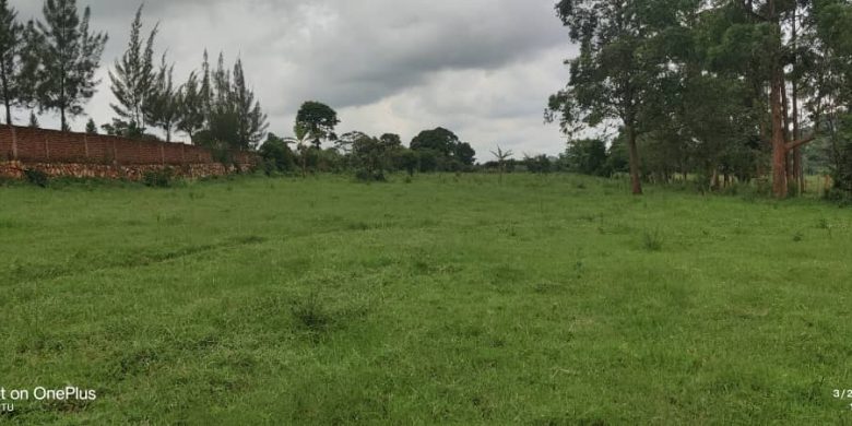 77 acres of land for sale in Wakiso at 90m per acre